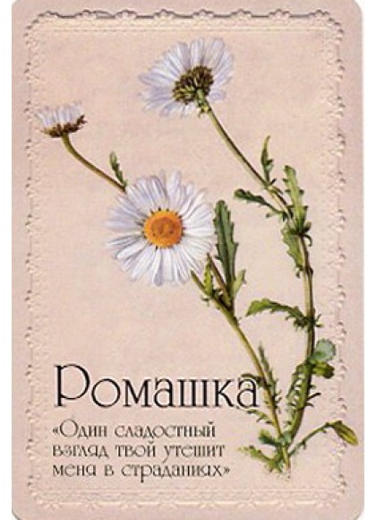 Оракул «Селам или Язык Цветов»